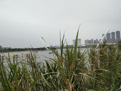 -鱼嘴湿地公园