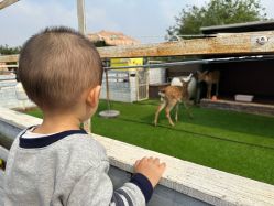 -小蜜蜂农场(凯德七宝购物广场店)