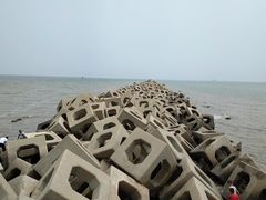 -东疆建设开发纪念公园