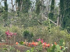 -海南热带野生动植物园