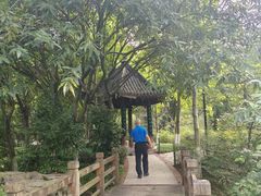 -龙头寺公园