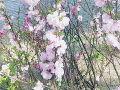 -长春公园(普阳街道)