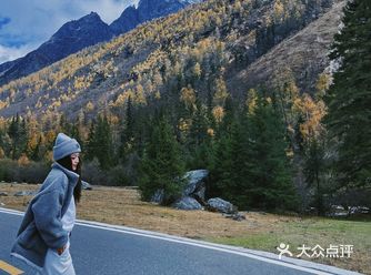 成都开车四小时左右，到四姑娘山  熊猫大道上开着开着