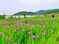 -南北湖风景区