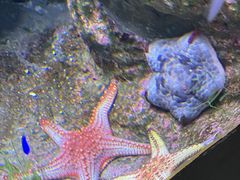 -郑州海洋馆