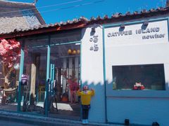 -喵屿·大理花园猫咖