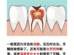 -上海市徐汇区口腔医院