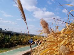 -首都医科大学附属北京同仁医院(南区)