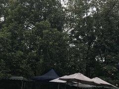 -成都市活水公园