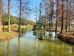 -森波拉奇妙世界