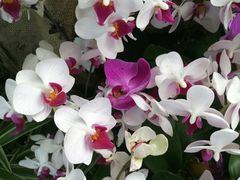 -南通洲际绿博园