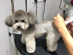 -宠颐生动物医院·小陆分院