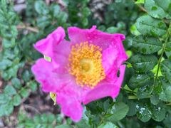 -高荡千年布依古寨旅游景区