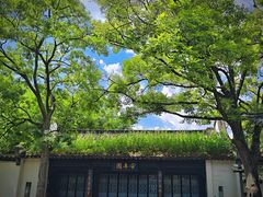 -莲花池公园