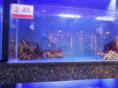 -名苑皇宫酒家(来魅力壁画村店)