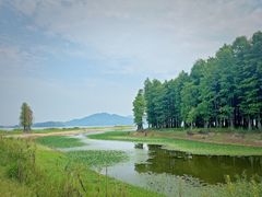 -四明湖