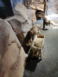 -酷嗒动物文化乐园(cutezoo西溪乐天城店)