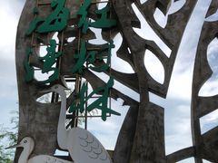 -北海金海湾红树林生态旅游区