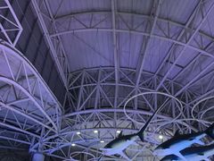 -烟台海昌鲸鲨海洋公园