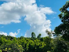 -中国科学院西双版纳热带植物园