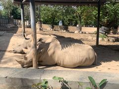-西安秦岭野生动物园