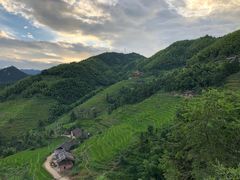 -紫鹊界梯田景区