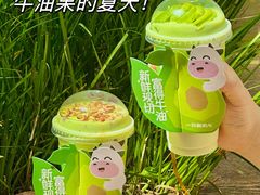 -一只酸奶牛(春熙路店)