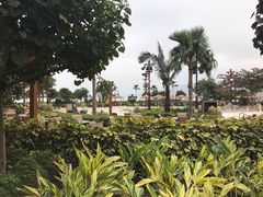-云龙轩(迪士尼探索家度假酒店)