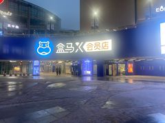 -盒马X会员店(王府井奥莱UP TOWN店)