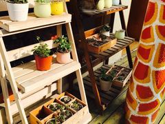 -长颈鹿咖啡(大学路店)