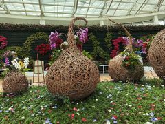 -石家庄市植物园