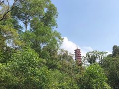 -大雁山风景区