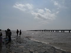 -南汇新城海滩