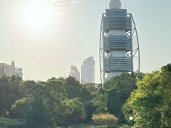 -深圳国际园林花卉博览园