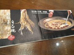 -纯肴大东北(新城北街店)