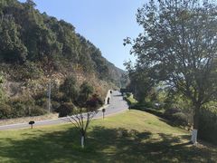 -桃花岭景区