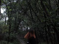 -南山风景名胜区