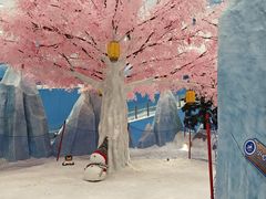 -长沙湘江欢乐雪域