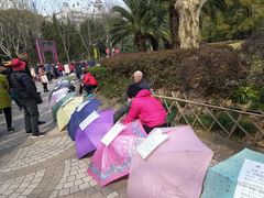 -人民公园-相亲角