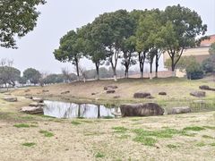 -滆湖低碳生态公园