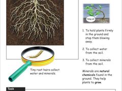-上海德威外籍人员子女学校(浦东校区)