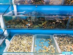 水产区-港畔赶海蒸汽海鲜烧烤自助(仙螺岛店)