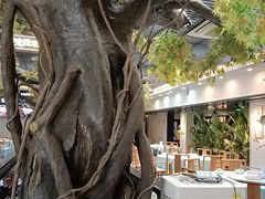 -阳光院坝小龙虾(红牌楼店)