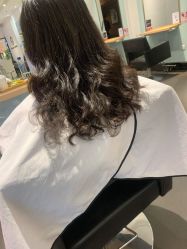 -东方麒麟·潘多拉SALON