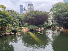 -九龙公园
