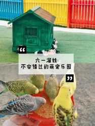 -萌宠亲子动物乐园(槐房万达店)