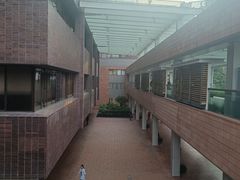 -香港大学