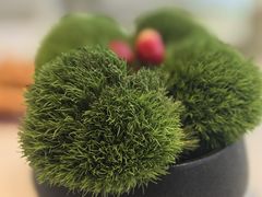 -悦融·京鲁菜·露台花园(安定门店)