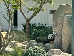 -无锡动物园·太湖欢乐园