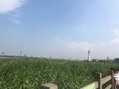 -吴淞炮台湾湿地森林公园烧烤区